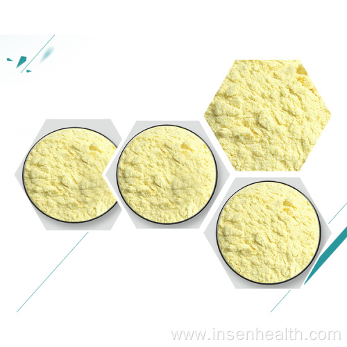 Best Price Dried Durian Fruit Powder